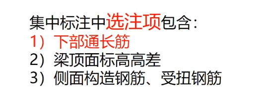 梁 集中标注中 选注项 包括哪些？